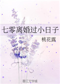 七零離婚過小日子小说封面