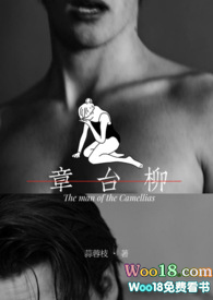 章台柳（1v1 高H 娱乐圈）小说封面